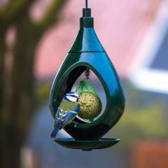 Relativiteitstheorie Nat magnetron Vogelproducten - Peacock Garden Supports